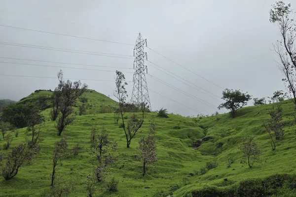India - Photo 16