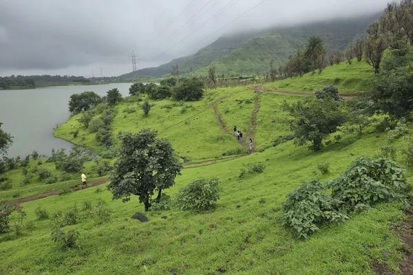 India - Photo 17