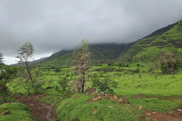 India - Photo 18