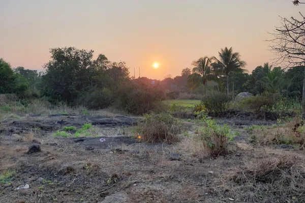 India - Photo 2