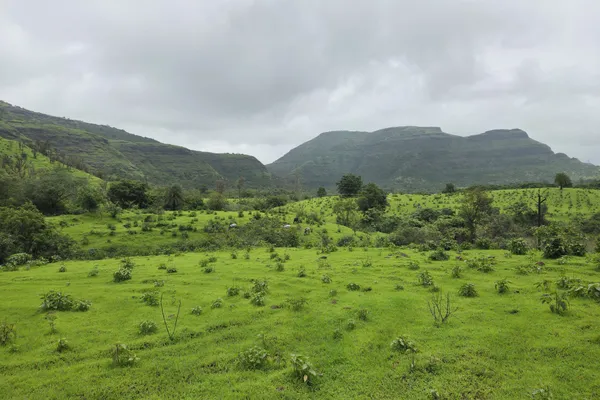 India - Photo 21