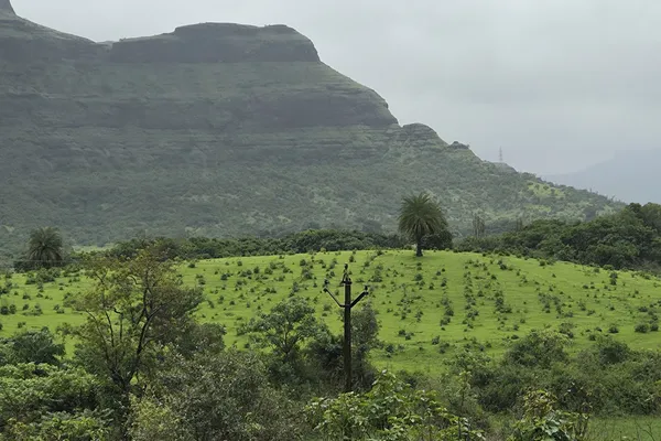 India - Photo 22