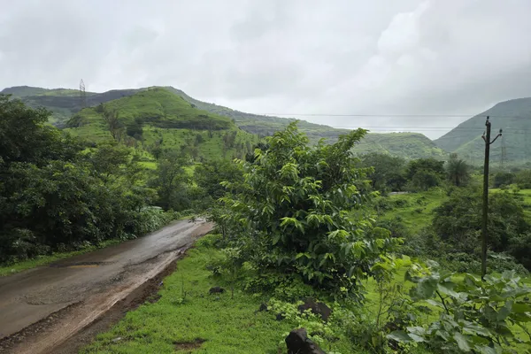 India - Photo 23