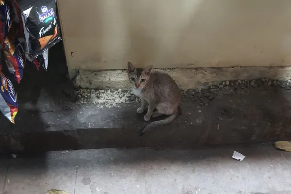 Mumbai - Photo 20