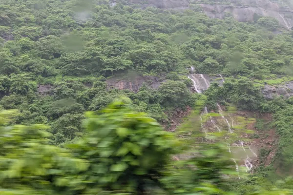 India - Photo 38
