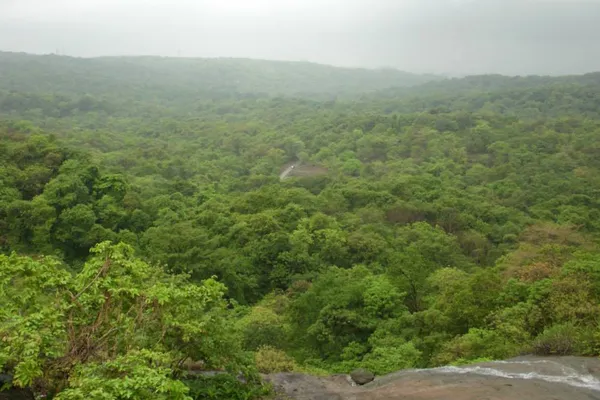 India - Photo 5